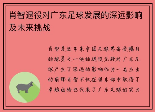肖智退役对广东足球发展的深远影响及未来挑战